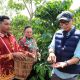 Gubernur Lampung Rahmat Mirzani Djausal meninjau Kebun Induk Hanakau milik UPTD Balai Benih dan Kebun Induk (BBKI) Dinas Perkebunan Provinsi Lampung di Pekon Hanakau, Kecamatan Sukau, Kabupaten Lampung Barat || Foto: Dinas Kominfotik Provinsi Lampung
