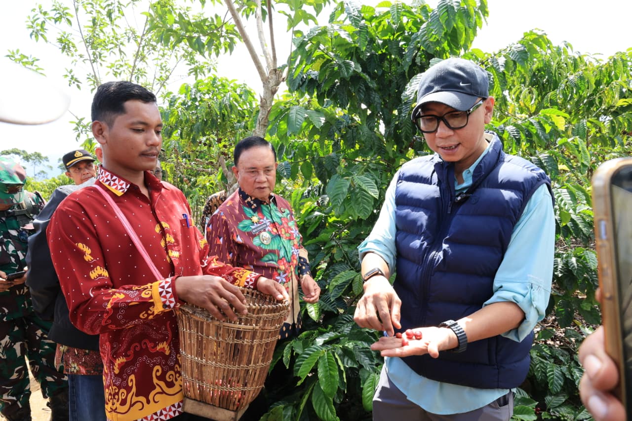 Gubernur Lampung Rahmat Mirzani Djausal meninjau Kebun Induk Hanakau milik UPTD Balai Benih dan Kebun Induk (BBKI) Dinas Perkebunan Provinsi Lampung di Pekon Hanakau, Kecamatan Sukau, Kabupaten Lampung Barat || Foto: Dinas Kominfotik Provinsi Lampung