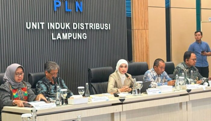 Dukung Penyempurnaan RUU Ketenagalistrikan, PLN UID Lampung Siap Perkuat Keandalan dan Transisi Energi