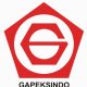 Gapeksindo Lampung Bongkar Praktik Lelang Proyek Dinas PU yang Sarat Kecurangan