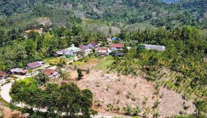 PLN Perluas Akses Listrik di Lampung Jelang HUT RI ke-81, Wujudkan Pemerataan Energi hingga Pelosok