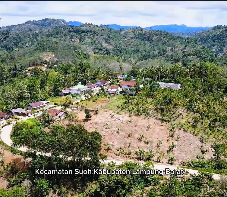 Perluasan akses listrik menjadi wujud nyata komitmen PLN dalam menghadirkan keadilan energi bagi seluruh masyarakat. Hingga Juni 2026, sebanyak tujuh desa dan dusun di Lampung telah menikmati layanan listrik PLN sebagai bagian dari pemerataan pembangunan menjelang HUT RI ke-81 || Foto: PLN UP2K Lampung