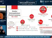 Pasar kerja Provinsi Lampung menunjukkan perkembangan positif pada Mei 2026 yaitu sekitar 35,5 ribu penduduk berhasil terserap ke dalam lapangan pekerjaan || Foto: Pemerintah Provinsi Lampung