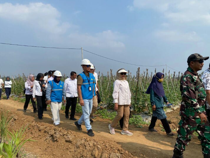 Manager PLN UP3 Metro Anas Febrian bersama jajaran PLN meninjau infrastruktur kelistrikan yang mendukung operasional irigasi pertanian di kawasan persawahan Lampung Timur || Foto: PLN UP3 Metro