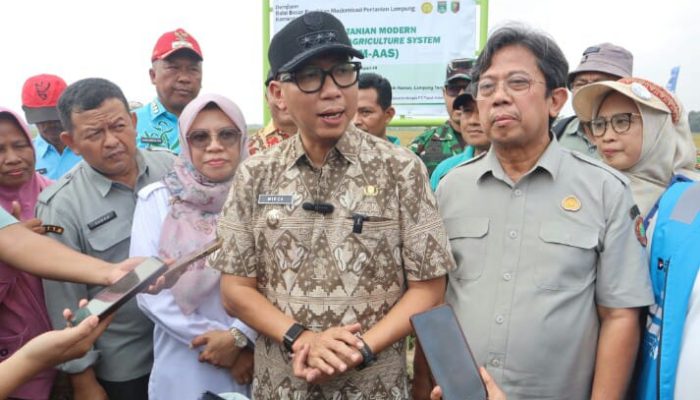 PM-AAS dan POC Dongkrak Produktivitas Padi, Gubernur Lampung Perkuat Kemandirian Petani