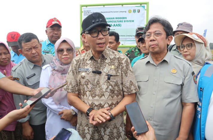 Gubernur Lampung Rahmat Mirzani Djausal saat menghadiri Panen Padi Model Program Pertanian Modern PM-AAS yang dilaksanakan Balai Besar Penerapan Modernisasi Pertanian Lampung di Desa Rama Nirwana, Kecamatan Seputih Raman, Kabupaten Lampung Tengah || Foto: Pemerintah Provinsi Lampung