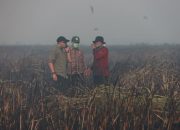 Gubernur Lampung Rahmat Mirzani Djausal meninjau langsung penanganan kebakaran yang terjadi di Desa Braja Harjosari, Kecamatan Braja Selebah, Kabupaten Lampung Timur || Foto: Pemprov Lampung