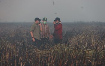 Gubernur Lampung Rahmat Mirzani Djausal meninjau langsung penanganan kebakaran yang terjadi di Desa Braja Harjosari, Kecamatan Braja Selebah, Kabupaten Lampung Timur || Foto: Pemprov Lampung