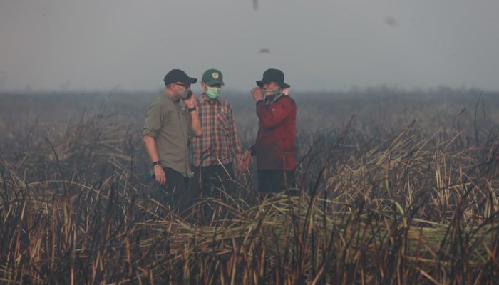 Gubernur Lampung Pastikan Penanganan Kebakaran di Braja Harjosari Terkendali, Tim Gabungan Cegah Api Masuk TNWK