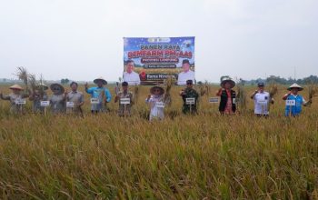 Pertanian Modern–Advanced Agriculture System (PM-AAS) di Lampung Tengah, yang berhasil mendorong produktivitas pertanian melalui pemanfaatan teknologi dan dukungan kelistrikan PLN || Foto: PLN UID Lampung