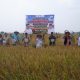 Jelang Hari Pelanggan Nasional, PLN Perkuat Kelistrikan Pertanian Modern di Lampung