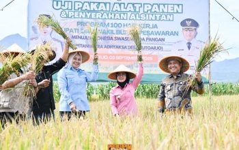 Pesawaran