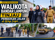 Walikota Eva Dwiana tinjau perbaikan jalan Wala Kuba di kelurahan Way Laga, Senin(3/8/2026) || Foto: Istimewa/5W1HINDONESIA.ID