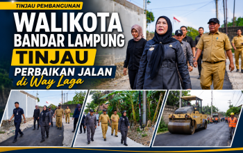 Walikota Eva Dwiana tinjau perbaikan jalan Wala Kuba di kelurahan Way Laga, Senin(3/8/2026) || Foto: Istimewa/5W1HINDONESIA.ID