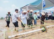 Pemprov Lampung Perkuat Pertanian Modern untuk Tingkatkan Produktivitas dan Pendapatan Petani