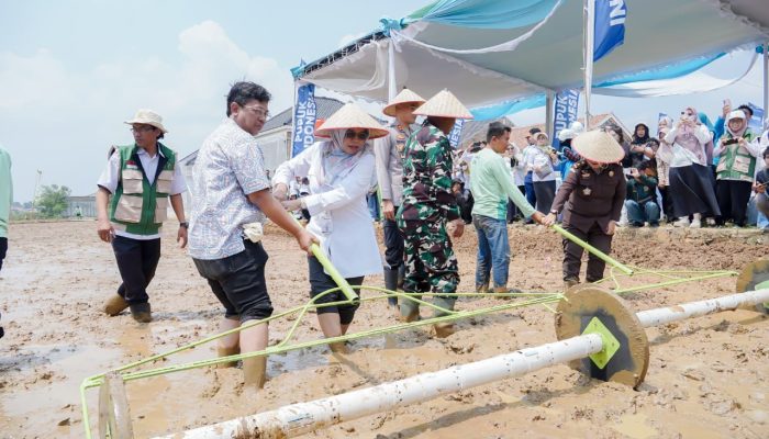 Pemprov Lampung Perkuat Pertanian Modern untuk Tingkatkan Produktivitas dan Pendapatan Petani