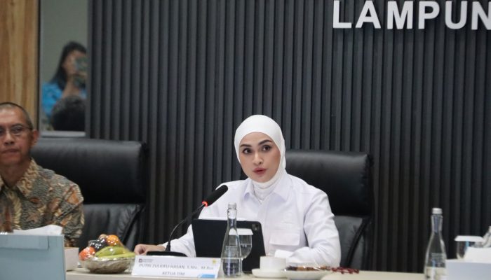 Tinjau Sektor Energi Lampung, Komisi XII DPR RI Apresiasi Keandalan Kelistrikan PLN