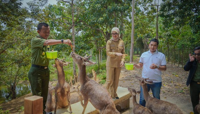 Wagub Jihan Dorong Pengelolaan Hutan Lampung yang Lestari dan Berkelanjutan