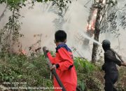 Dua Titik Karhutla di Tulang Bawang dan Lamteng Terkendali