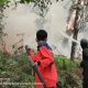 Dua Titik Karhutla di Tulang Bawang dan Lamteng Terkendali