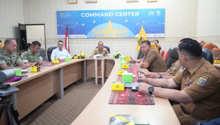 Pemprov Lampung Perkuat Sinergi Pusat-Daerah untuk Jaga Harga Pangan dan Tingkatkan Pelayanan Publik